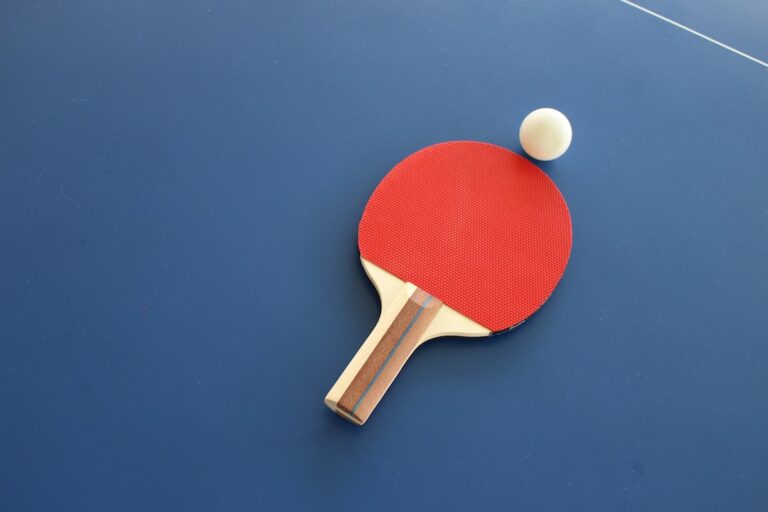Scopri i campioni del ping pong: i migliori giocatori professionisti
