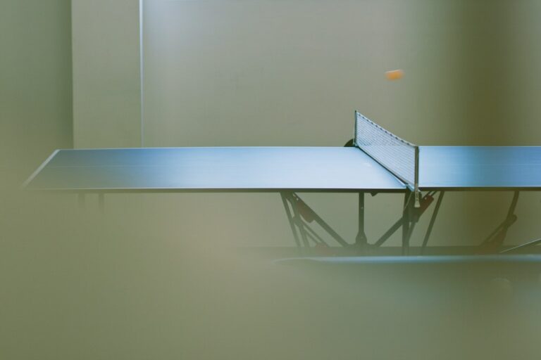 Come scegliere la superficie del tavolo da ping pong per la tua casa: guida all’acquisto
