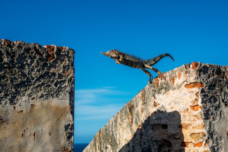Migliorare il salto triplo: 5 tecniche vincenti per diventare un campione!